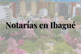 notarias en ibague